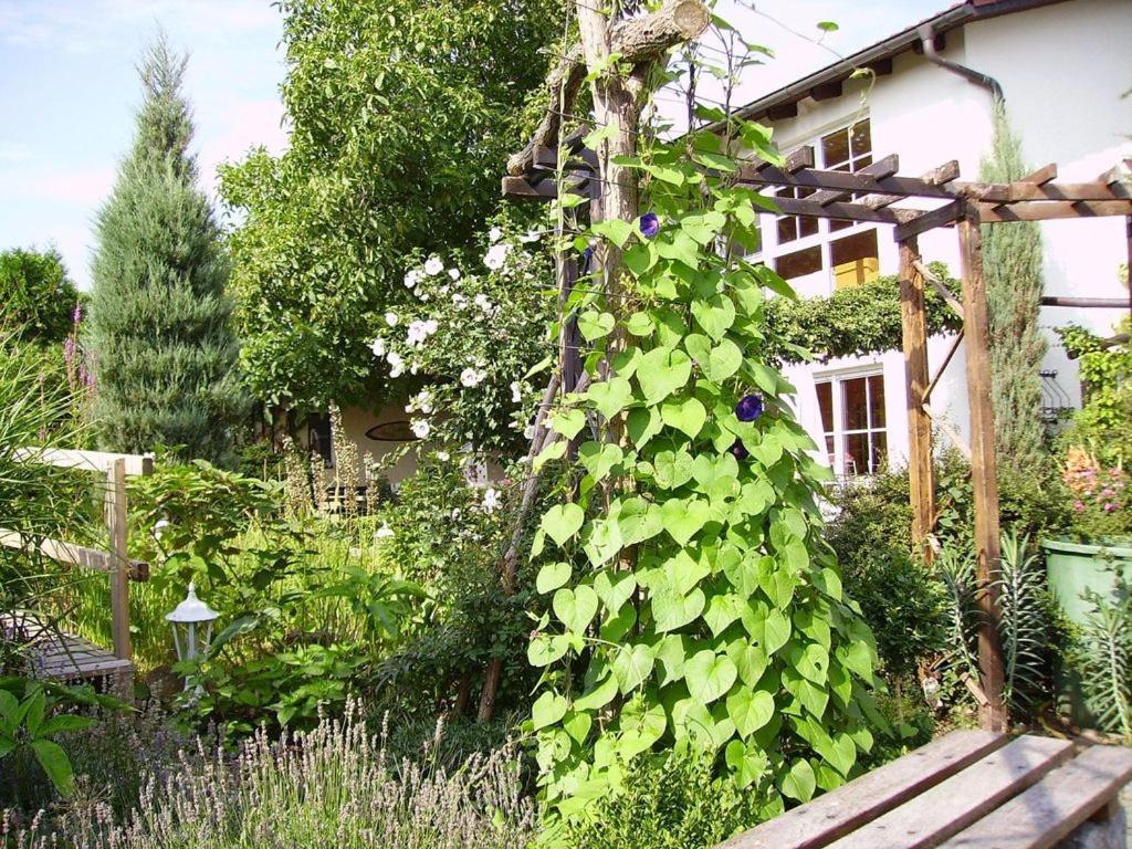 Ferienhaus-Weitblick Wohlau Exterior photo